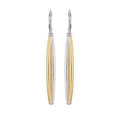 Two Tone Elongated Hoop Earrings